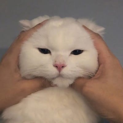 Kuya Ben avatar